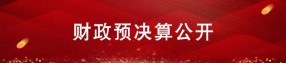财政预决算